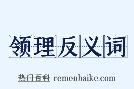 领理反义词是什么意思的图片